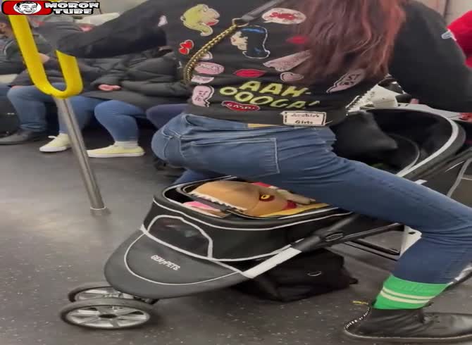 Video :Is New York losing its mind